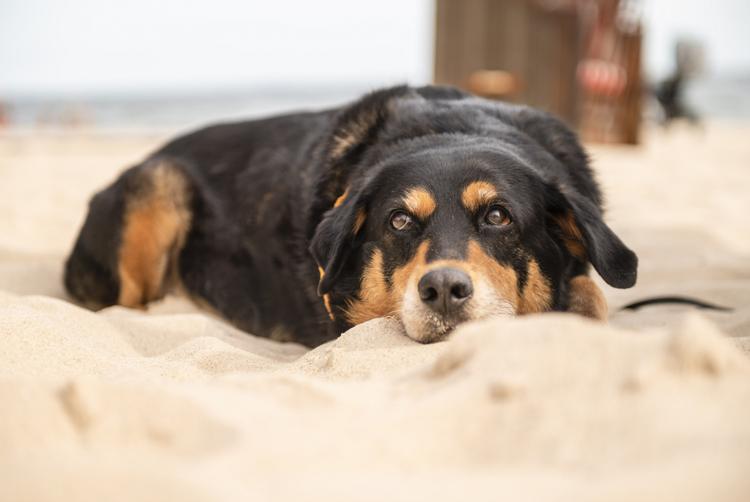 Baltic Sport- und Ferienhotel Usedom | Seebad Zinnowitz | 7