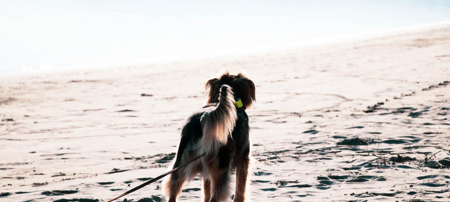 Baltic Sport- und Ferienhotel Usedom | Seebad Zinnowitz | 2