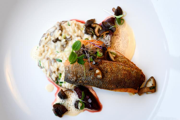 Baltic Sport- und Ferienhotel Usedom | Seebad Zinnowitz | 17