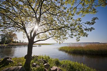 Baltic Sport- und Ferienhotel Usedom | Seebad Zinnowitz | Galerie 25
