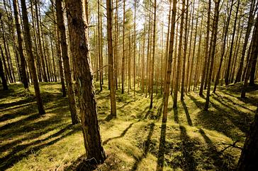 Baltic Sport- und Ferienhotel Usedom | Seebad Zinnowitz | Galerie 34