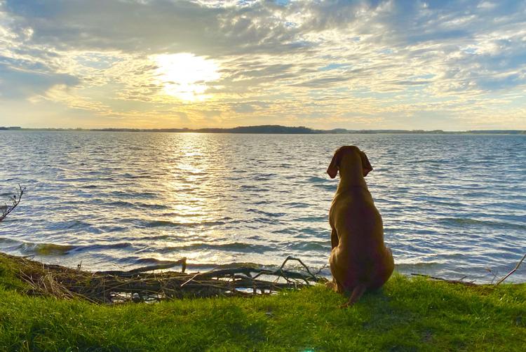 Baltic Sport- und Ferienhotel Usedom | Seebad Zinnowitz | 8